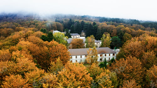 Preview: House surrounded by trees with autumn colors
