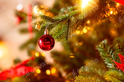 Preview: Festive postcard. A red, glossy ball hangs on a snow-covered branch of a Christmas tree. Copy space