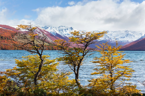 Preview: Autumn lake