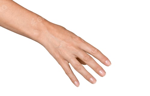 Preview: Emty hand holding gesture