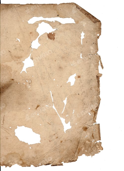 Preview: A blank, torn sheet of old paper has an irregular shape with rough, jagged edges and holes