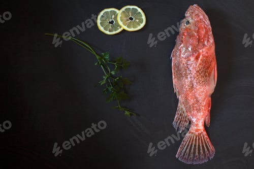 Preview: Raw Scorpionfish