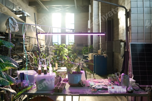 Preview: Post-apocalyptic Laboratory In Abandoned Building