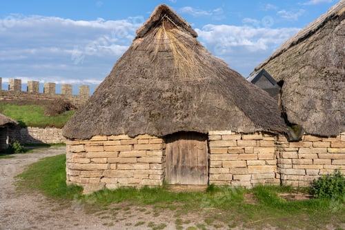 Preview: Row of small thatched huts along a path outside a rural settlement