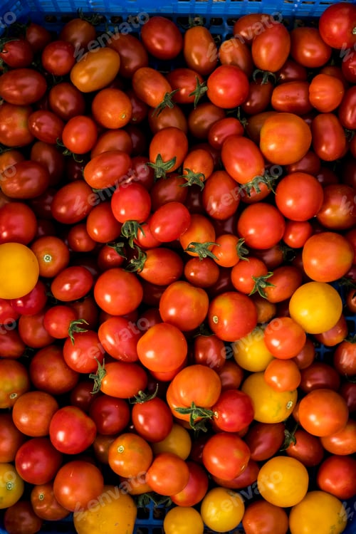 Preview: High angle close up of freshly picked cherry tomatoes.