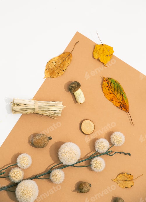 Preview: Fall Winter flat lay art.