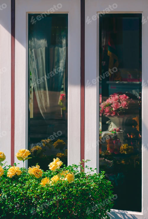 Preview: Sunlight and shadow on surface of white wooden glass windows behind green bush in vintage style