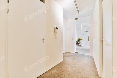 Preview: Doorway of modern apartment with white walls and parquet floor