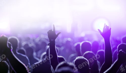 Preview: Picture of dancing crowd at music festival