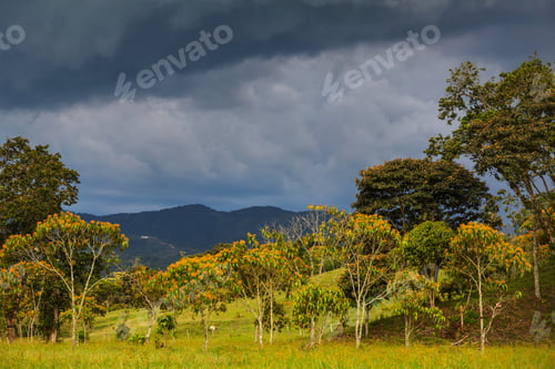 Preview: Green hills in Colombia