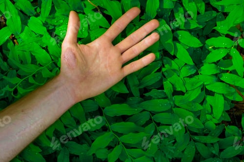 Preview: fresh green leaves pattern with hand showing different signs in the foreground