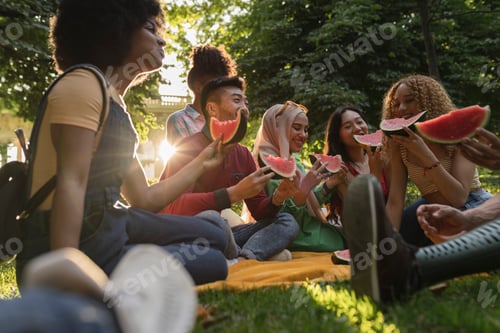 Preview: young multi-ethnic friends, enjoying the summer, in the park, at sunset, friendship and summer