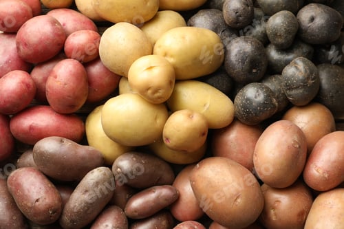 Preview: Different types of potatoes as background, top view