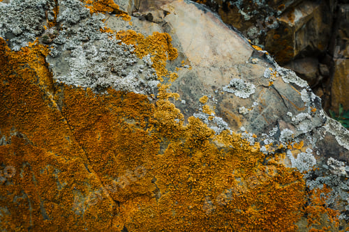 Vorschau: Natürlicher Hintergrund aus rauem Berggestein mit orangefarbenen Flechten