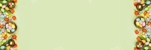 Preview: Stylish background with colorful easter eggs pastel colors isolated on green background. Horizontal