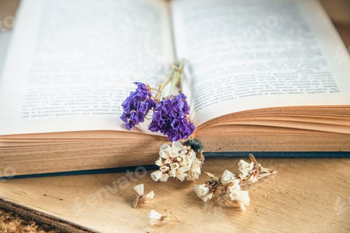 Preview: Flower of colorful dried flowers on an open book, close-up.