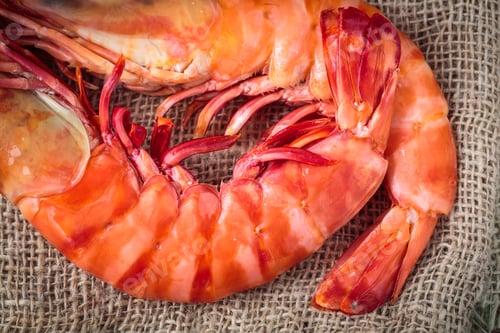 Preview: Fresh cooked shrimp