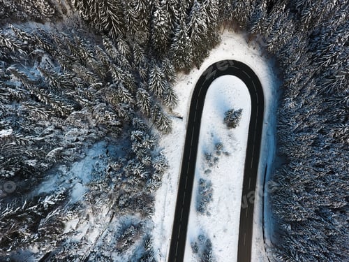 Preview: Mountain pass surrounded by snow covered fir trees