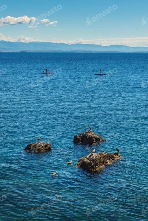 Preview: Kvarner gulf of Adriatic sea in Croatia, birds resting while people paddle boarding