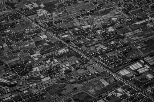 Preview: Top view of a beautiful forest in black and white