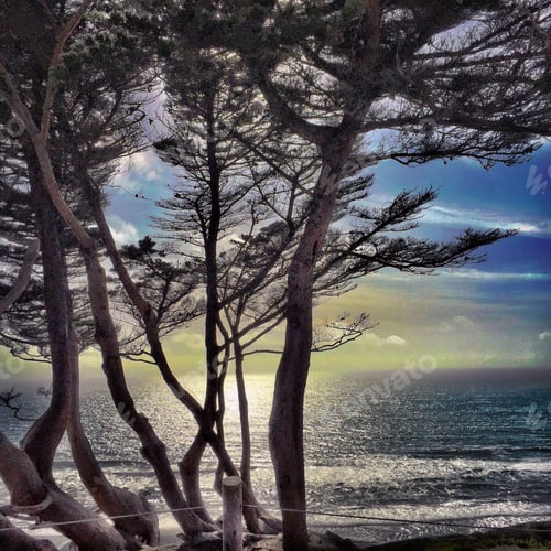 Preview: Beauty in the California Coast.