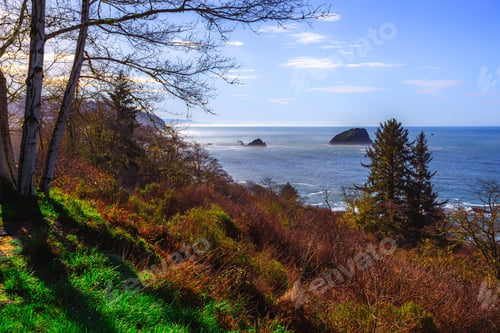 Preview: Coastal View, Redwoods National & State Parks, California