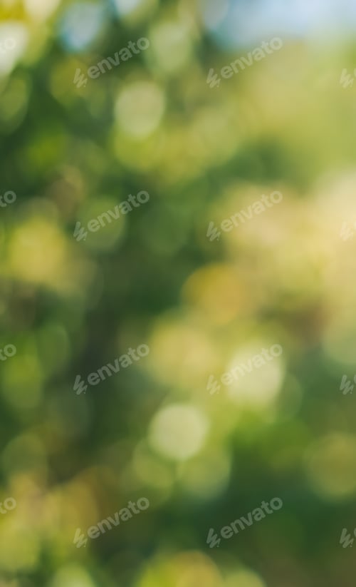 Preview: Natural bokeh nature background