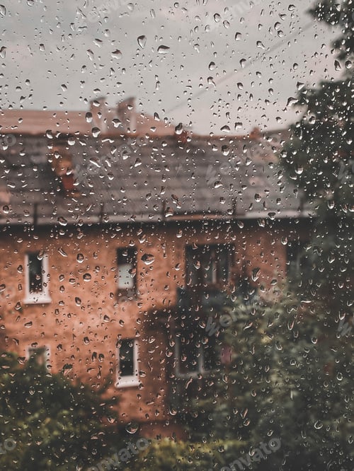 Preview: Rainy Day View of Brick Building and Trees