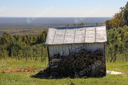 Preview: Countryside view of shed with wooden logs and cultivated land and planted trees viewed in background