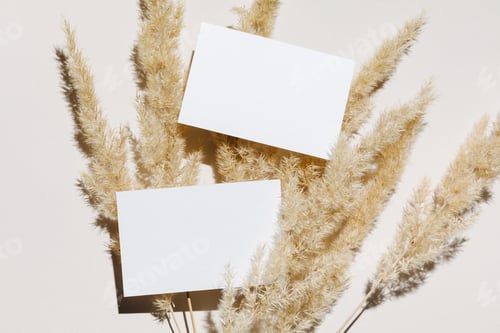 Preview: Mockup with blank paper business card and dried pampas grass over beige pastel background