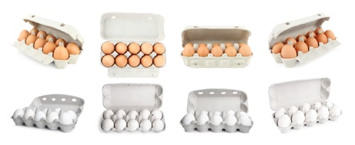 Preview: Set of fresh eggs on white background, banner design