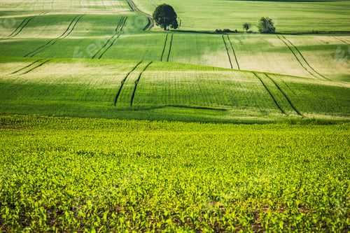 Preview: Rolling green fields, coutryside.