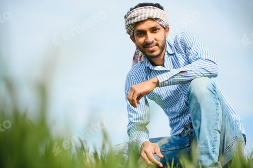Preview: Indian farmer in his Wheat field