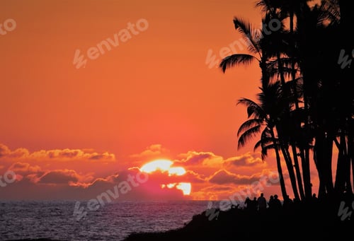 Preview: Orange! Orange Sky at Sunset! Tropical Vibes!