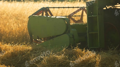 Preview: Combine cutting wheat, close up.