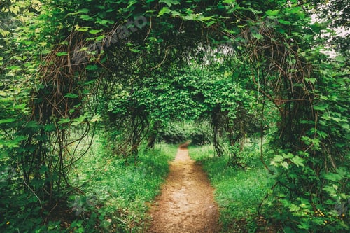 Preview: Beautiful Alley In Park. Garden Landscaping Design