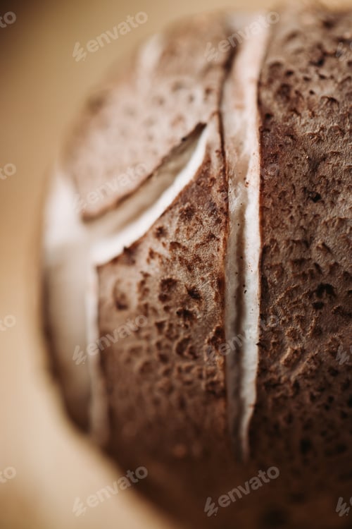 Preview: Macro photography of shiitake mushroom