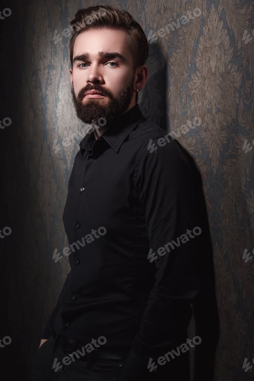 Preview: Portrait of stylish handsome man with a beard