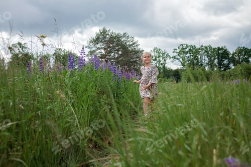 Preview: Little girl runs among purple lupines in blooming field. Health, nature, summertime. Happy childhood