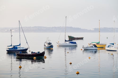 Preview: Boats in Harbor