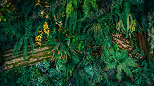 Preview: Close up group of background tropical green leaves texture and abstract background.