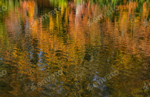 Preview: Autumn colours, trees reflected in calm water. Abstract background
