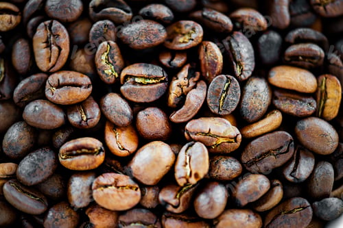 Preview: Closeup of coffee bean