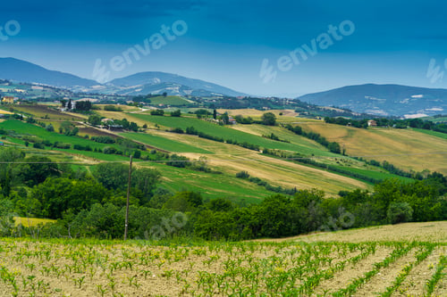 Preview: Rural landscape along the road from Fano to Mondavio, Marche