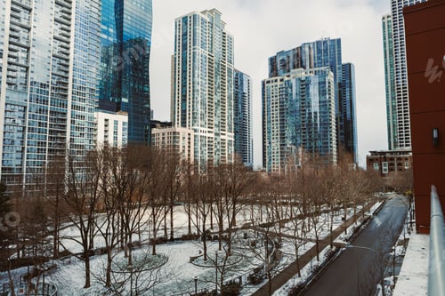 Preview: Tall buildings surround a park with trees and a road on a cloudy day during winter in the city