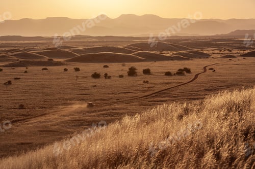 Preview: Damaraland in Namibia