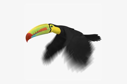 Preview: Animated Keel-Billed Toucan, Colorful Beak