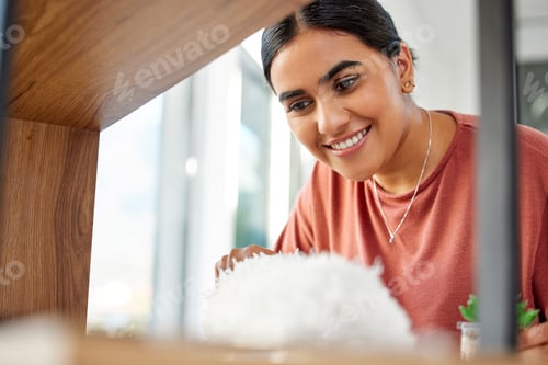 Preview: Woman cleaner, duster and smile by wood, furniture or display in living room, home or hotel. House