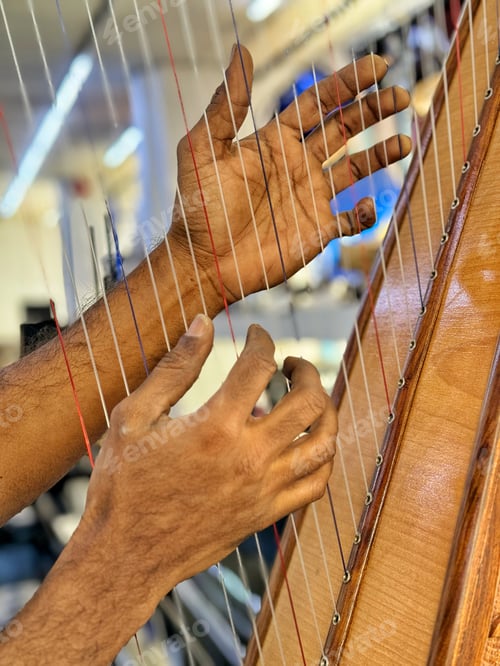 Preview: A diverse musician playing a small four octave harp skillfully with his fingers as he performs