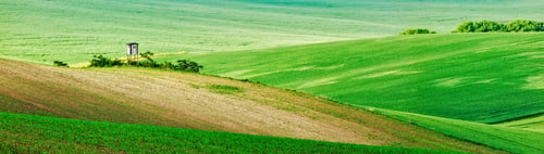 Preview: Moravian rolling landscape with hunting tower shack
